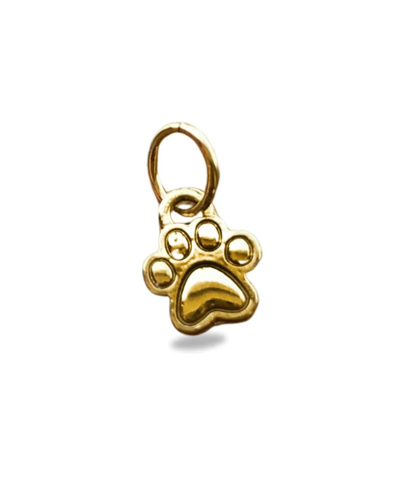 Pingente - Patinha