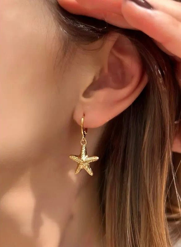 Brincos Mini Estrela