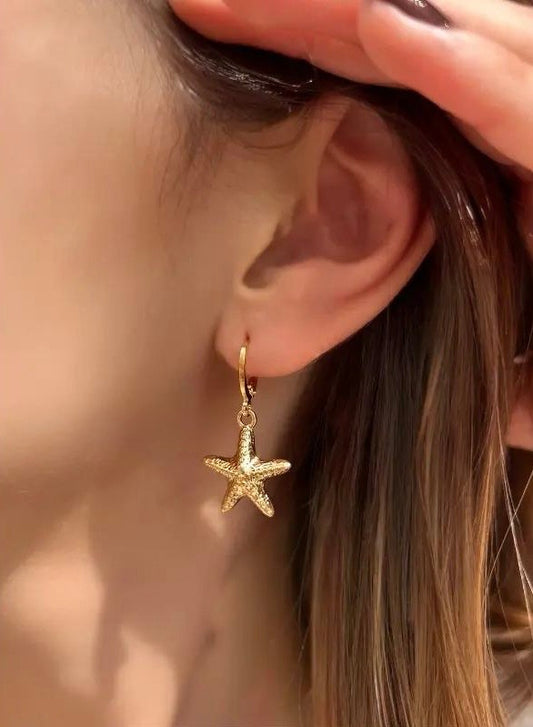 Brincos Mini Estrela